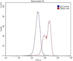 SIGLEC7 Rabbit anti-Human, Polyclonal, Proteintech 150 &mu;L; Unconjugated:Antibodies,