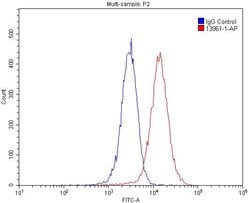 PPFIBP1 Rabbit anti-Human, Mouse, Rat, Polyclonal, Proteintech:Antibodies:Primary