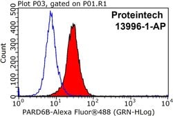 PARD6B Rabbit anti-Human, Mouse, Rat, Polyclonal, Proteintech 150 &mu;L;