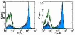 Invitrogen CD27 Monoclonal Antibody (O323), eBioscience , Invitrogen 100