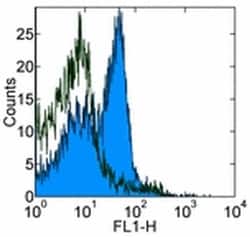 Invitrogen CD28 Monoclonal Antibody (JJ319), eBioscience 500 &mu;g; Unconjugated:Antibodies,