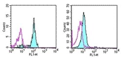 Invitrogen CD33 Monoclonal Antibody (WM-53 (WM53)), eBioscience , Invitrogen