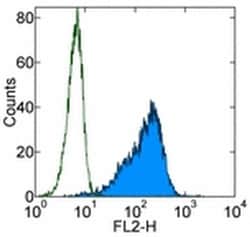 Invitrogen CD34 Monoclonal Antibody (4H11), eBioscience 100 &mu;g; Unconjugated:Antibodies,