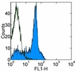 Invitrogen CD38 Monoclonal Antibody (90), eBioscience , Invitrogen 500