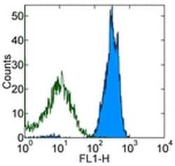Invitrogen CD45 Monoclonal Antibody (30-F11), eBioscience , Invitrogen