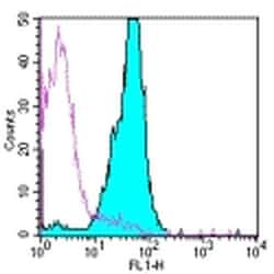 Invitrogen CD45.2 Monoclonal Antibody (104), eBioscience , Invitrogen 500
