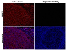 CD45RA Monoclonal Antibody (HI100), eBioscience , Invitrogen:Antibodies:Primary