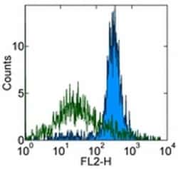 CD51 (Integrin alpha V) Monoclonal Antibody (RMV-7), eBioscience , Invitrogen:Antibodies:Primary