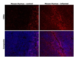 Invitrogen CD8a Monoclonal Antibody (4SM15), eBioscience , Invitrogen 100