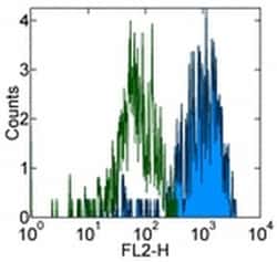 CD115 (c-fms) Monoclonal Antibody (12-3A3-1B10), eBioscience , Invitrogen:Antibodies:Primary