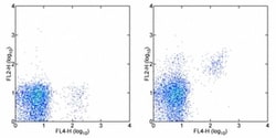 CD122 Monoclonal Antibody (TM-b1 (TM-beta1)), eBioscience , Invitrogen:Antibodies:Primary