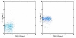 CD181 (CXCR1) Monoclonal Antibody (eBio8F1-1-4 (8F1-1-4)), eBioscience
