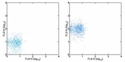 CD182 (CXCR2) Monoclonal Antibody (eBio5E8-C7-F10 (5E8-C7-F10)), eBioscience