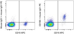 CD196 (CCR6) Monoclonal Antibody (R6H1), eBioscience , Invitrogen:Antibodies:Primary