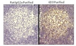 Rat IgG2a kappa Isotype Control (eBR2a), eBioscience , Invitrogen:Anticuerpos:Controles