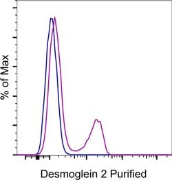 Mouse IgG2b kappa Isotype Control (eBMG2b), eBioscience , Invitrogen:Antibodies:Isotype