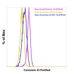 Invitrogen Connexin 43 Monoclonal Antibody (Connexin43 (1A)), eBioscience
