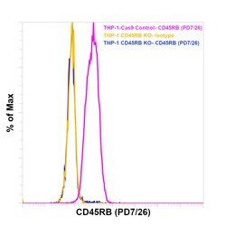 Invitrogen CD45RB Monoclonal Antibody (PD7/26), eBioscience , Invitrogen:Anticorps:Anticorps