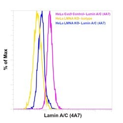 Invitrogen Lamin A/C Monoclonal Antibody (4A7), eBioscience , Invitrogen:Anticorps:Anticorps
