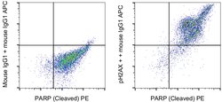 Phospho-Histone H2A.X (Ser139) Monoclonal Antibody (CR55T33), eBioscience