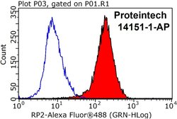 RP2 Rabbit anti-Human, Mouse, Rat, Polyclonal, Proteintech 150 &mu;L; Unconjugated:Antibodies,