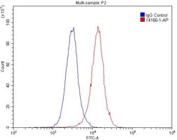 PTH2R Rabbit anti-Human, Mouse, Rat, Polyclonal, Proteintech 150 &mu;L;