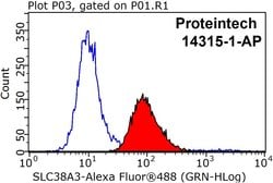 SLC38A3 Rabbit anti-Human, Mouse, Rat, Polyclonal, Proteintech 150 &mu;L;