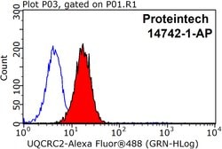 UQCRC2 Rabbit anti-Human, Mouse, Rat, Polyclonal, Proteintech:Antibodies:Primary