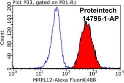 MRPL12 Rabbit anti-Human, Mouse, Rat, Polyclonal, Proteintech 150 &mu;L;
