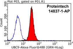 UBC9 Rabbit anti-Human, Mouse, Rat, Polyclonal, Proteintech 150 &mu;L;