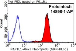 NAP1L1 Rabbit anti-Human, Mouse, Rat, Polyclonal, Proteintech 150 &mu;L;