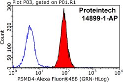 PSMD4 Rabbit anti-Human, Mouse, Rat, Polyclonal, Proteintech:Anticorps:Anticorps