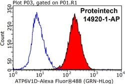 ATP6V1D Rabbit anti-Human, Mouse, Rat, Polyclonal, Proteintech 20 &mu;L;