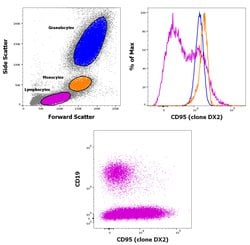 Invitrogen CD95 (APO-1/Fas) Monoclonal Antibody (DX2), PE-Cyanine5, eBioscience