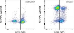 Ki-67 Monoclonal Antibody (SolA15), PE-Cyanine5, eBioscience , Invitrogen:Antibodies:Primary