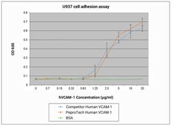 Gibco Human VCAM-1 Recombinant Protein, PeproTech 100 &mu;g | Buy Online | Gibco&trade; | Fisher Scientific