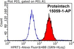 HPRT1 Rabbit anti-Human, Mouse, Rat, Polyclonal, Proteintech:Anticuerpos:Anticuerpos
