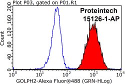 GP73/GOLPH2 Rabbit anti-Human, Polyclonal, Proteintech 150 &mu;L; Unconjugated:Antibodies,