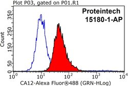 CA12 Rabbit anti-Human, Mouse, Rat, Polyclonal, Proteintech:Antibodies:Primary