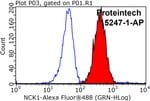 Thumbnail_NCK1 Rabbit anti-Human, Mouse, Rat, Polyclonal, Proteintech 150 &mu;L;