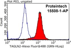 Transgelin-2 Rabbit anti-Human, Mouse, Rat, Polyclonal, Proteintech 150