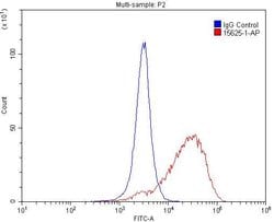 FCGR2A / CD32a Rabbit anti-Human, Polyclonal, Proteintech:Antibodies:Primary