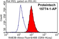 RAB3B Rabbit anti-Human, Mouse, Rat, Polyclonal, Proteintech:Antibodies:Primary