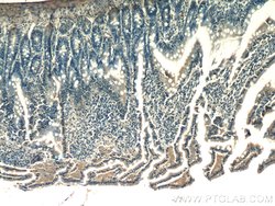 XRCC4 Rabbit anti-Human, Rat, Polyclonal, Proteintech 150 &mu;L; Unconjugated:Antibodies,