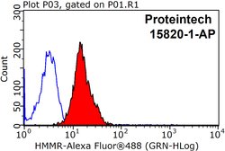 HMMR Rabbit anti-Human, Mouse, Rat, Polyclonal, Proteintech:Antibodies:Primary