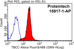 TBCC Rabbit anti-Human, Mouse, Rat, Polyclonal, Proteintech 150 &mu;L;