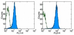 Invitrogen CD31 (PECAM-1) Monoclonal Antibody (390), Functional Grade,