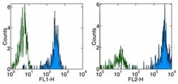 CD31 (PECAM-1) Monoclonal Antibody (WM-59 (WM59)), Functional Grade, eBioscience