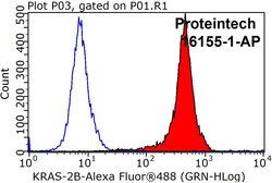 KRAS-2B Rabbit anti-Human, Mouse, Polyclonal, Proteintech 150 &mu;L; Unconjugated:Antibodies,