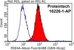 PDE4A Rabbit anti-Human, Mouse, Rat, Polyclonal, Proteintech 150 &mu;L;